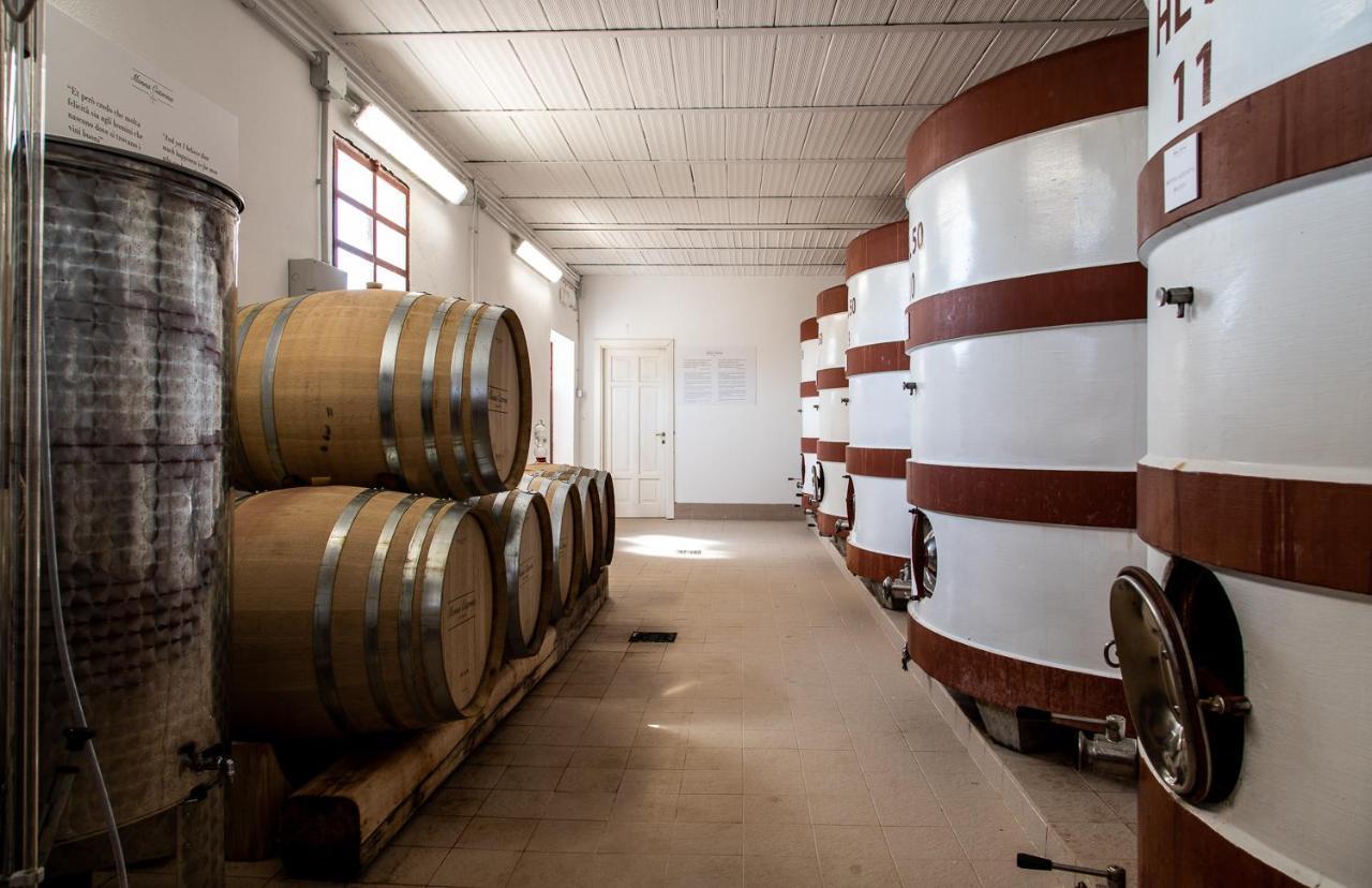 Monna Caterina Wine Resort Vinci Dış mekan fotoğraf
